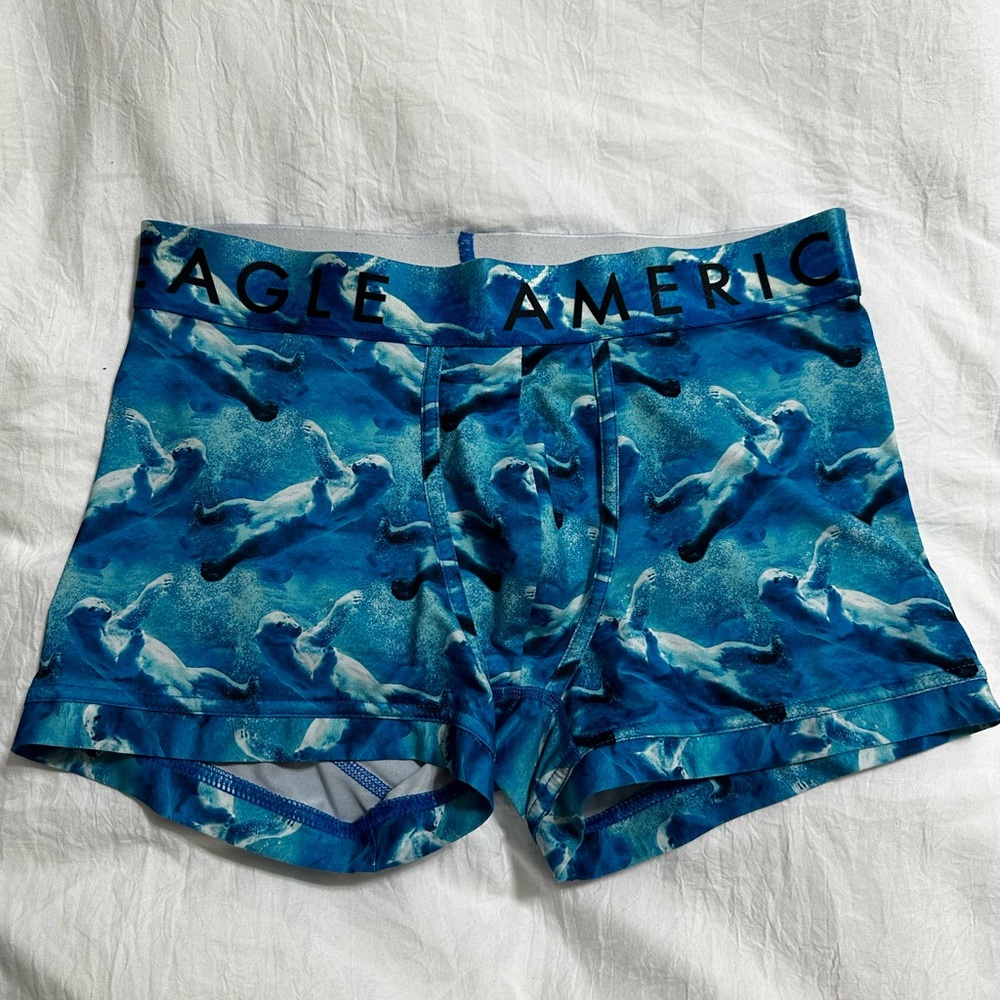 American Eagle Boxer Briefs